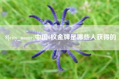 拉萨中国6枚金牌是哪些人获得的