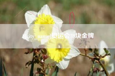 拉萨奥运会39块金牌