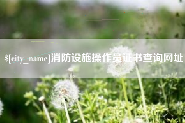 拉萨消防设施操作员证书查询网址