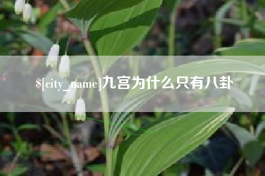 拉萨九宫为什么只有八卦