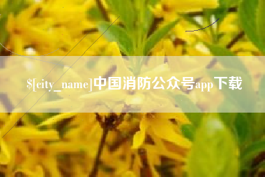 拉萨中国消防公众号app下载