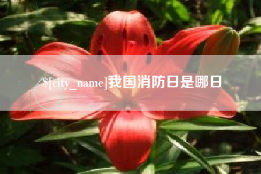 拉萨我国消防日是哪日