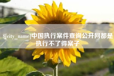 拉萨中国执行案件查询公开网都是执行不了得案子