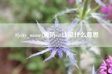 拉萨消防ccc认证什么意思