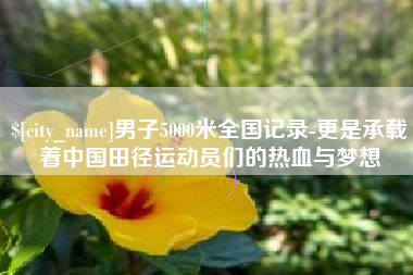 拉萨男子5000米全国记录-更是承载着中国田径运动员们的热血与梦想