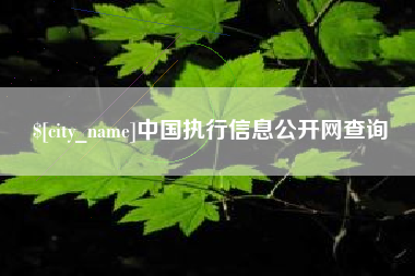 拉萨中国执行信息公开网查询