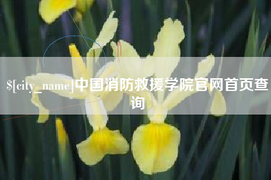 拉萨中国消防救援学院官网首页查询
