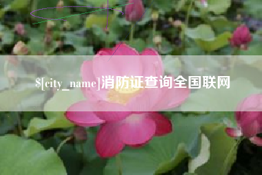 拉萨消防证查询全国联网