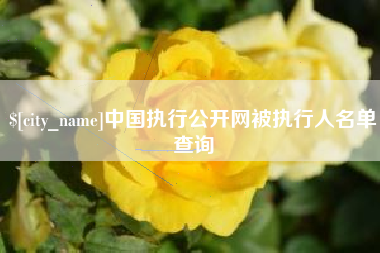 拉萨中国执行公开网被执行人名单查询