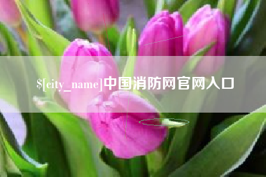 拉萨中国消防网官网入口