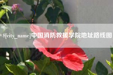 拉萨中国消防救援学院地址路线图