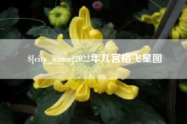 拉萨2022年九宫格飞星图