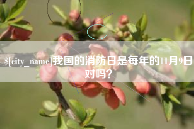 拉萨我国的消防日是每年的11月9日对吗？