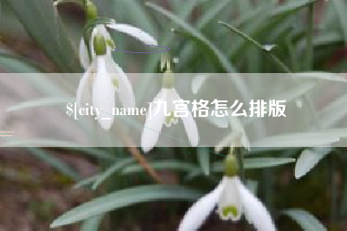 拉萨九宫格怎么排版