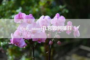 拉萨九宫如何排日