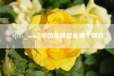 拉萨中国金牌都是哪个项目