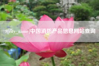 拉萨中国消防产品信息网站查询