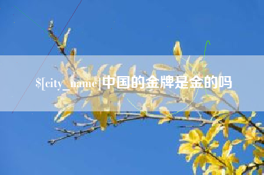 拉萨中国的金牌是金的吗