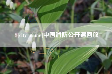 拉萨中国消防公开课回放