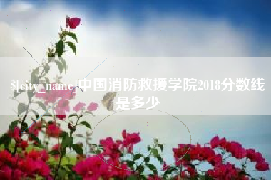 拉萨中国消防救援学院2018分数线是多少