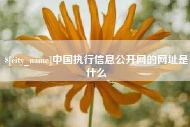 拉萨中国执行信息公开网的网址是什么