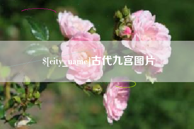 拉萨古代九宫图片