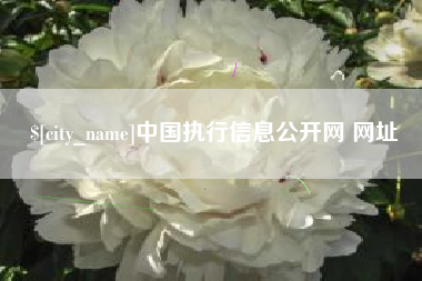 拉萨中国执行信息公开网 网址