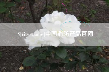 拉萨中国消防产品官网