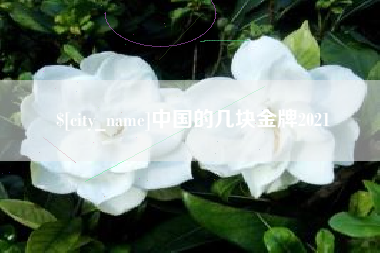 拉萨中国的几块金牌2021