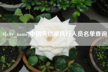 拉萨中国失信被执行人员名单查询