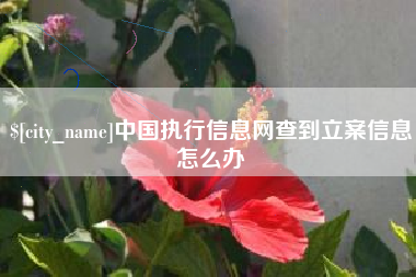 拉萨中国执行信息网查到立案信息怎么办