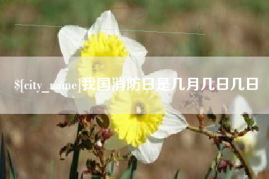 拉萨我国消防日是几月几日几日