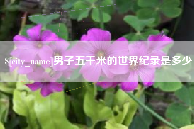 拉萨男子五千米的世界纪录是多少