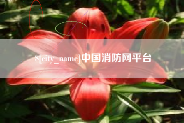 拉萨中国消防网平台
