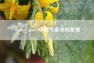 拉萨中国九金分别是谁