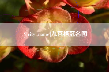拉萨九宫格冠名图