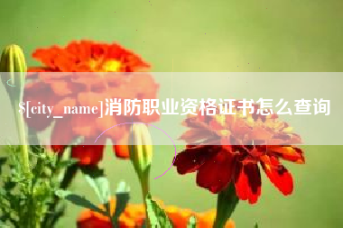 拉萨消防职业资格证书怎么查询