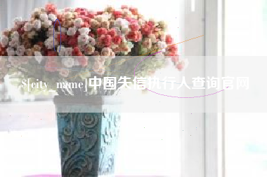 拉萨中国失信执行人查询官网