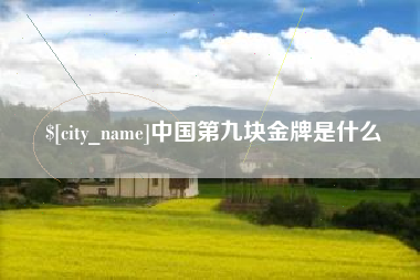 拉萨中国第九块金牌是什么