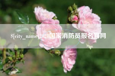 拉萨2021国家消防员报名官网