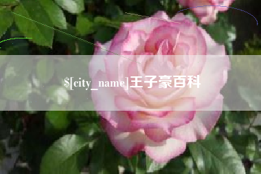拉萨王子豪百科