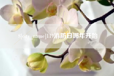 拉萨119消防日哪年开始