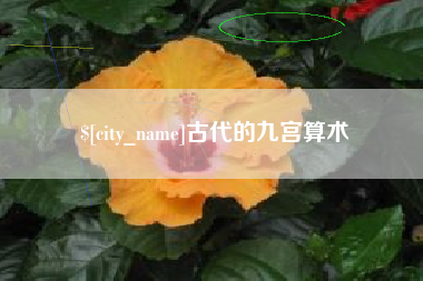拉萨古代的九宫算术