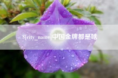 拉萨中国金牌都是啥
