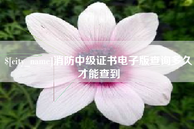 拉萨消防中级证书电子版查询多久才能查到