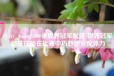 拉萨5000米世界冠军配速-世界冠军们往往能在比赛中巧妙地分配体力