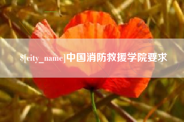 拉萨中国消防救援学院要求
