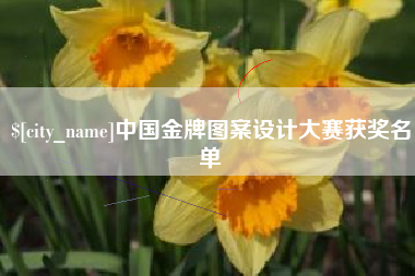 拉萨中国金牌图案设计大赛获奖名单