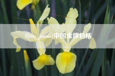 拉萨中国金牌包括