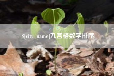 拉萨九宫格数字排序